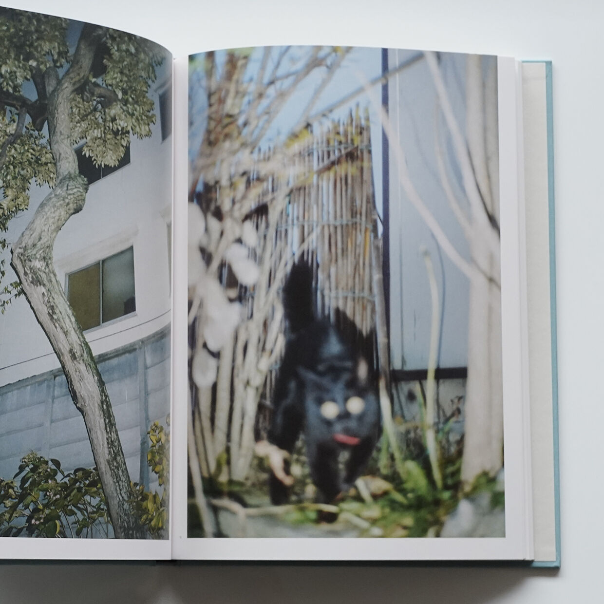 Coming Up for Air | Nobody Books. jp