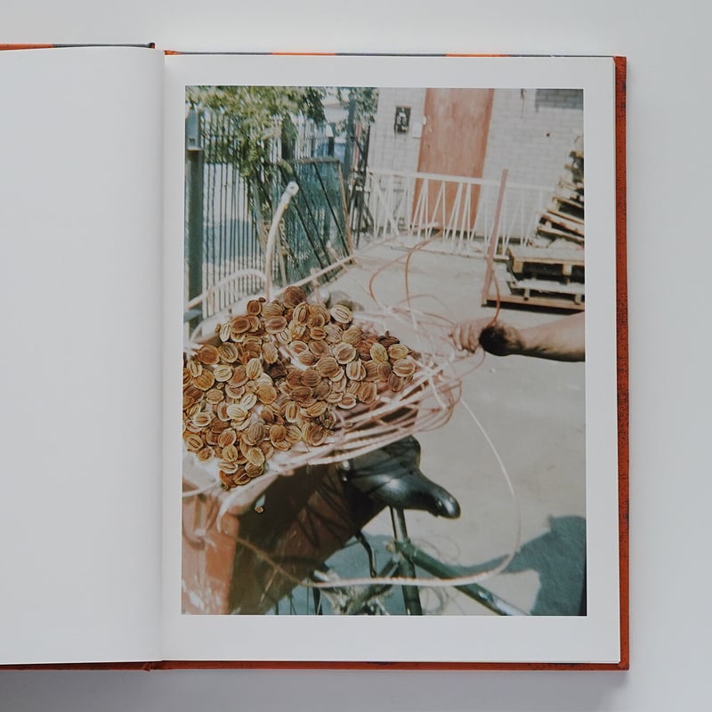 Hackney Flowers | Nobody Books. jp