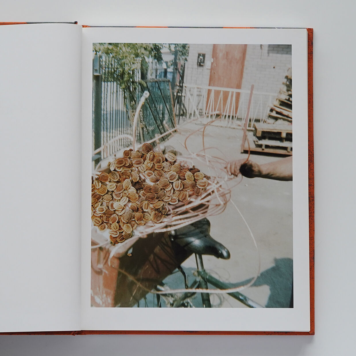 Hackney Flowers | Nobody Books. jp