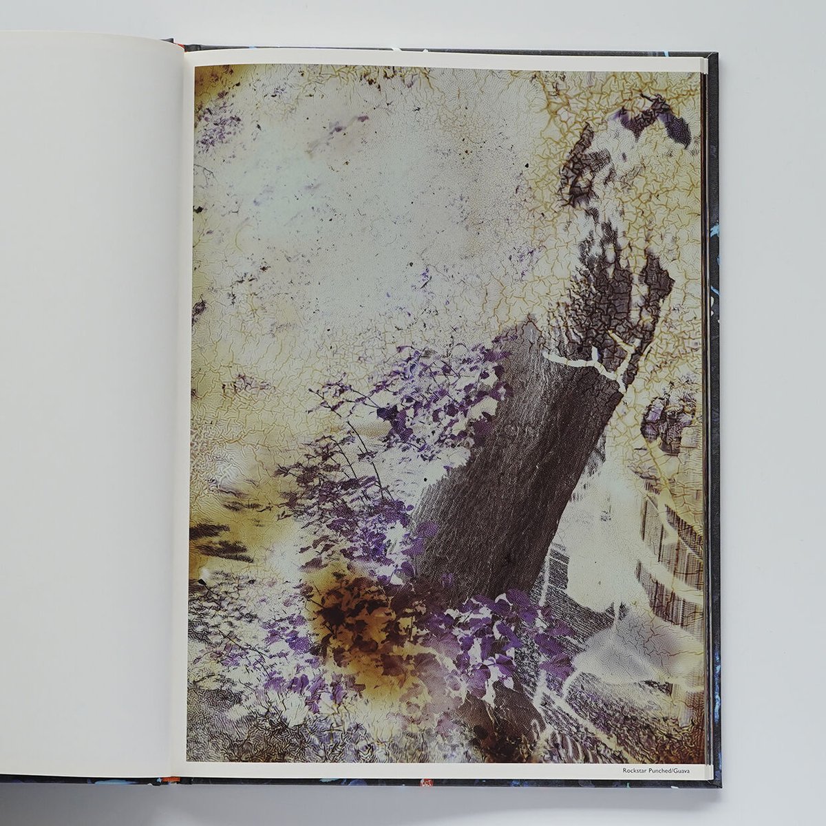 アート・デザイン・音楽 BEST BEFORE END by Stephen Gill Stephen Gill: Best Before End - BOOK OF DAYS ONLINE SHOP