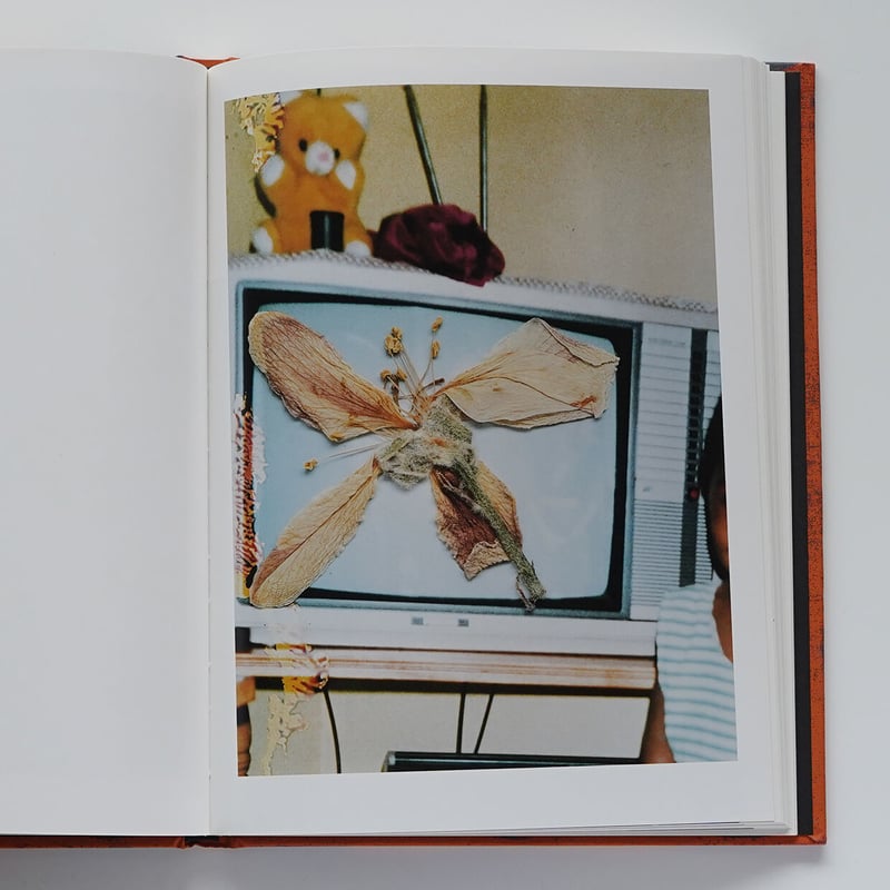 Hackney Flowers | Nobody Books. jp