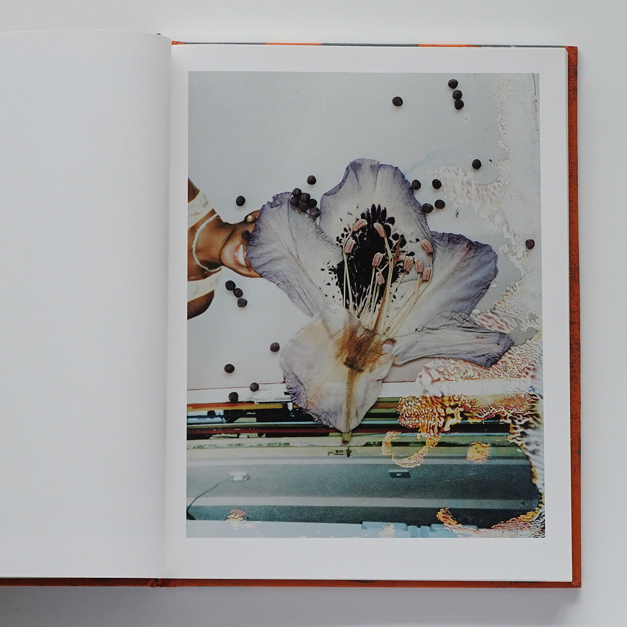 stephen gill 『Hackney Flowers』 サイン入り original