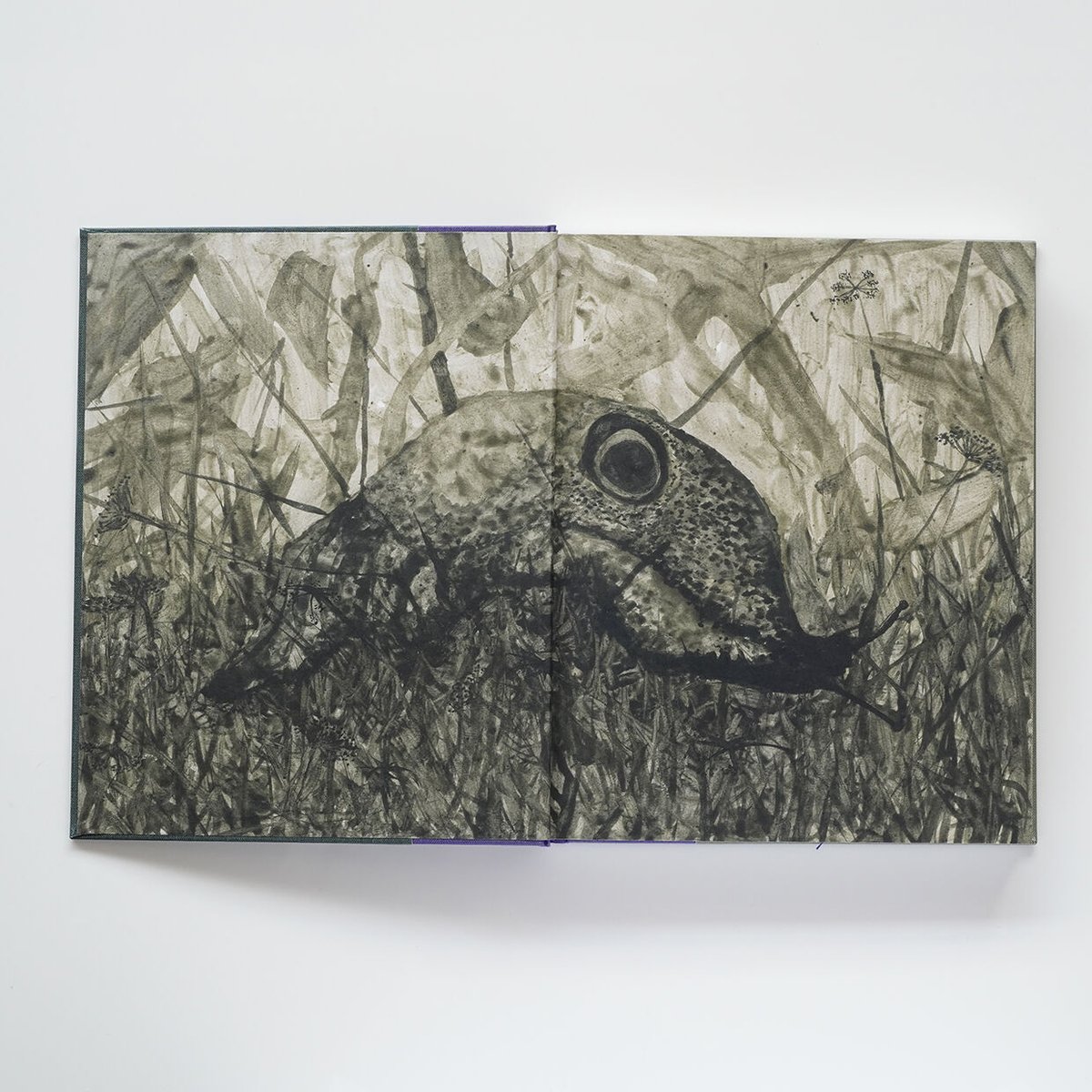 Night Procession | Nobody Books. jp