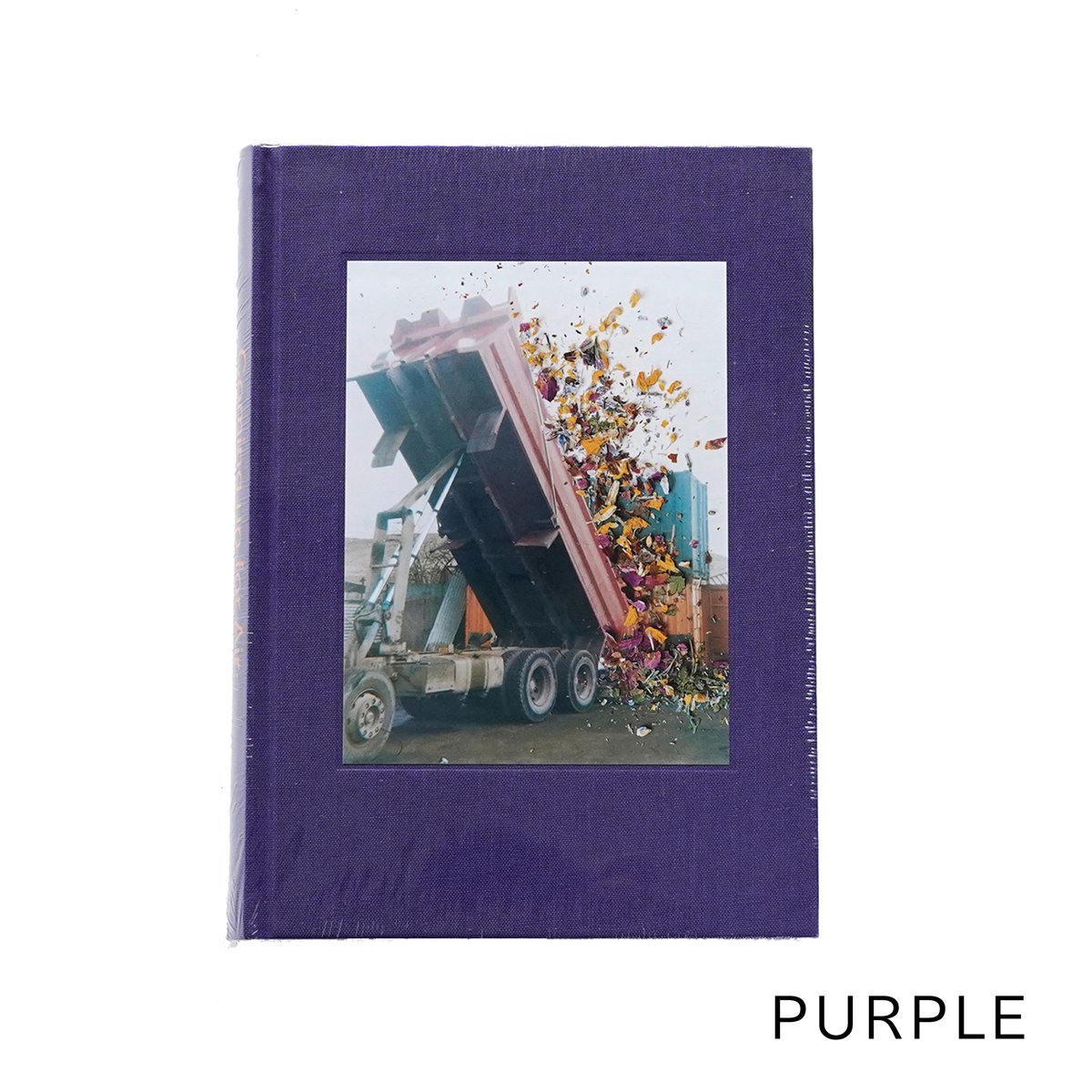 アート・デザイン・音楽 Stephen Gill / Coming Up for Air アート・デザイン・音楽 Stephen Gill / Coming Up for Air Coming up