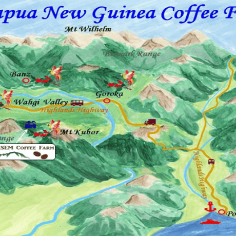 パプアニューギニア 天空の森 修道院のコーヒー（中深煎り）