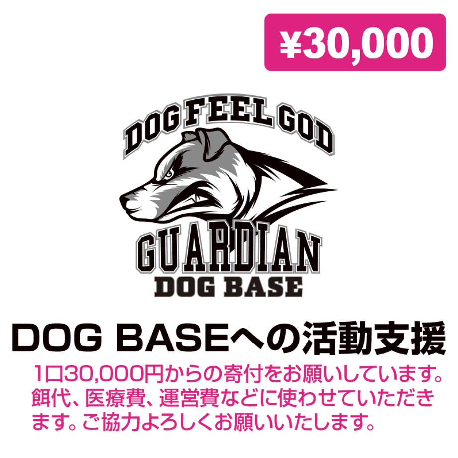 5d4ba8034c806470c8356953