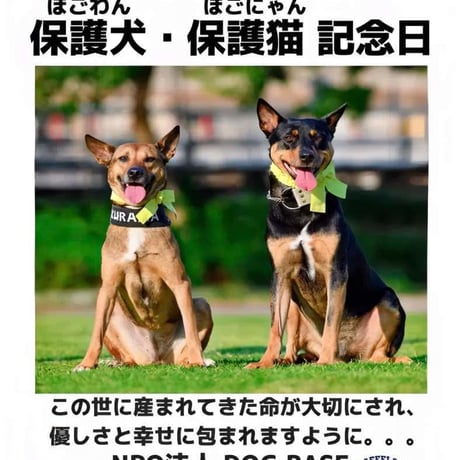 DOG BASEへの活動支援（寄付）30000円〜