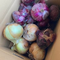 【数量限定】あわじ産新玉ねぎ　2種ミックス　5キロ（アンサー種　赤玉）