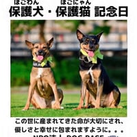DOG BASEへの活動支援（寄付）10000円〜