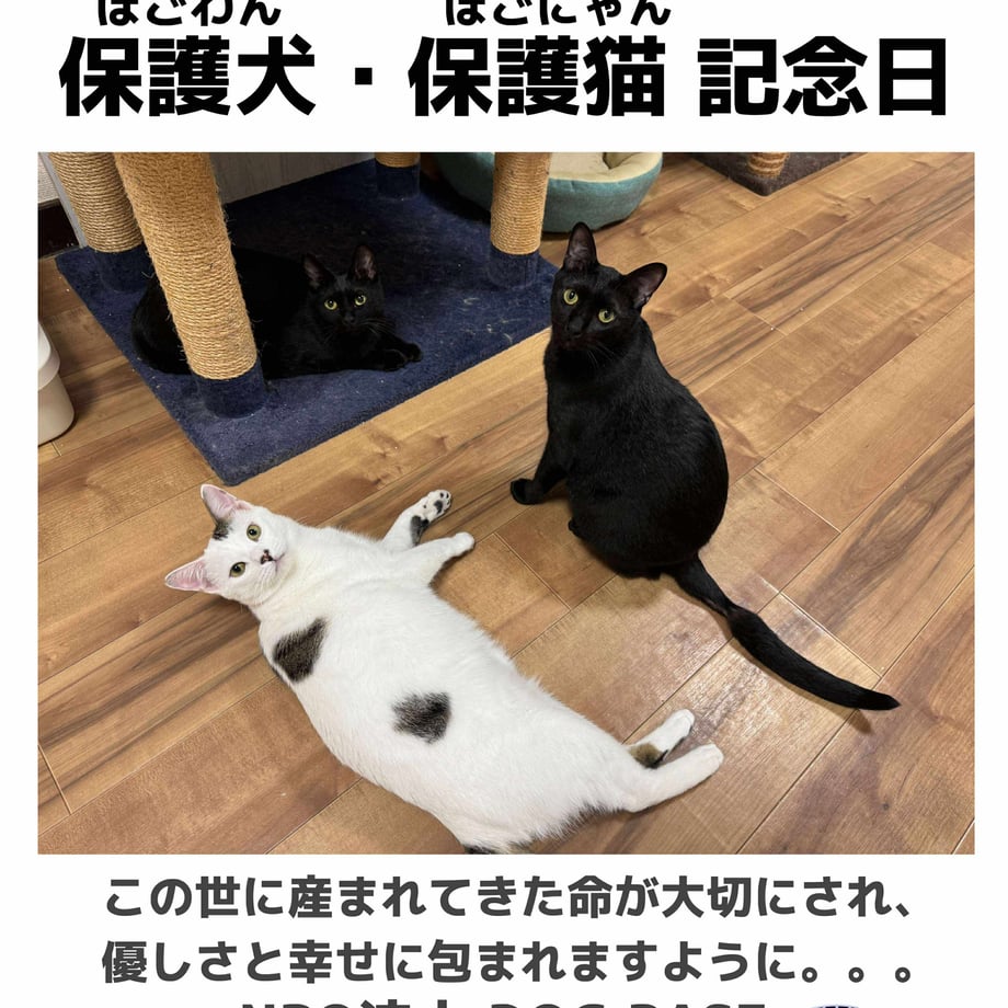 5d4ba8034c806470c8356953