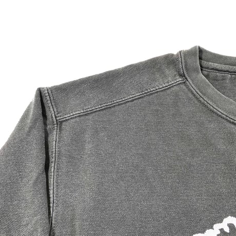 WALK AROUND POO GARMENT-DYE SWEAT
