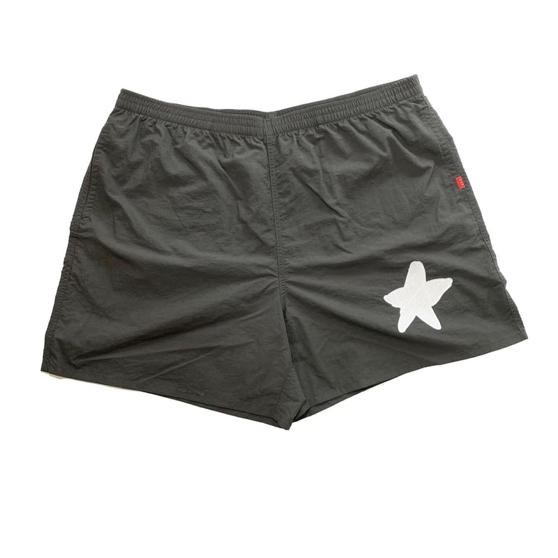 WISH TO THE STAR Versatile Nylon short pants | AYH