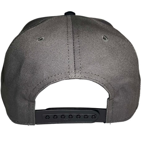 AYH BB LOGO CAP