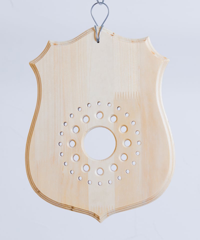 ビカクシダ板付プレート typeB【BB-B】 | TROQUEL