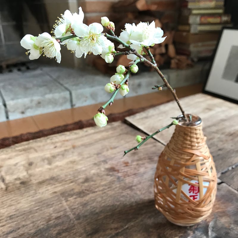 大分竹芸酒瓶 EMPTY GOOD-TASTE SAKE BOTTLES, WEAVED