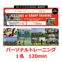 1名 120min NAパーソナルトレーニング【平野稔】