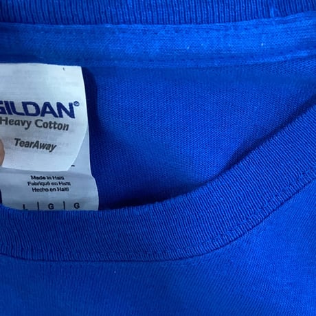 GILDAN BLACK FLAG t-shirt
