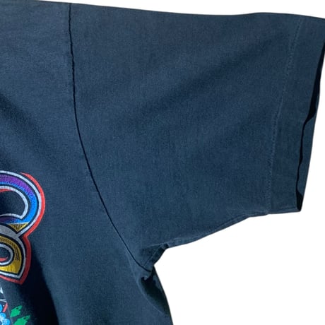 1990's "The Radiator" FRUIT OF THE LOOM