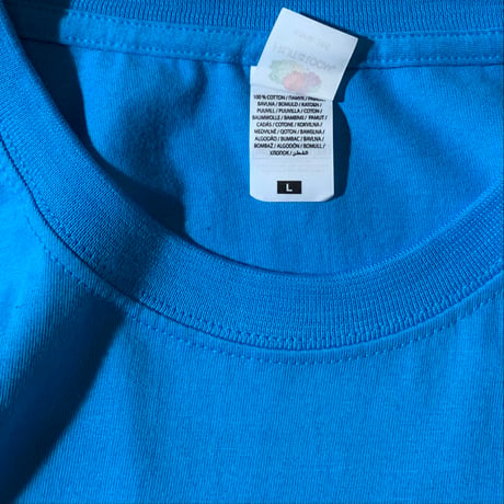 new FRUITS OF THE LOOM (L) OASIS Tシャツ BAND TEE 水色