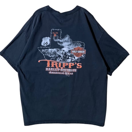 Hanes HARLEY-DAVIDSON t-shirt