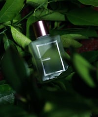 【定期便1ヶ月】EUDITION OIL （ユーディションオイル）