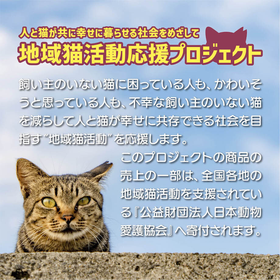 64465e0d916d260001397a35