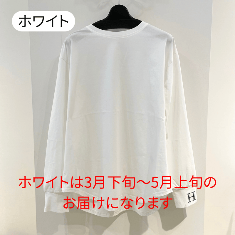 11/14ゲリラライブ H刺繍ロンT (アンナケリー 85241925) | ISHIKAWA...