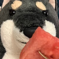 6/11〜6/13 バウ占い（こーさん占い）