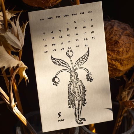 PAPYRUS Calendar 2024　『 ORTUS SANITATIS』