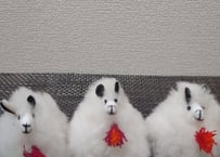 ベビーアルパカ100%パンダ人形🐼 | 南米音楽ILLAY（イジャイ）official