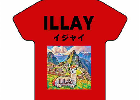 Ｔシャツ柄両面キーホルダー