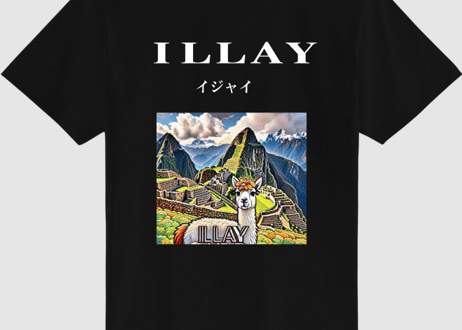 再入荷　ＩＬＬＡＹオリジナルロゴＴシャツ アルパカ　サイズM L XL 2XL