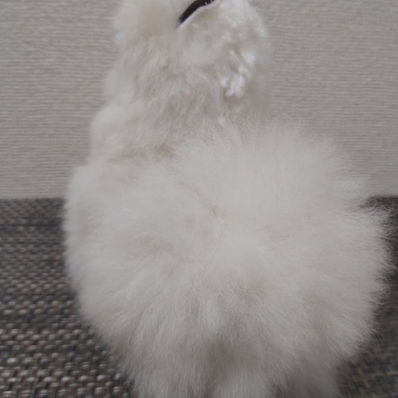 ベビーアルパカ人形🦙白色🦙 | 南米音楽ILLAY(イジャイ ベビーアルパカ人形🦙白色🦙 | 南米音楽ILLAY(イジャイ