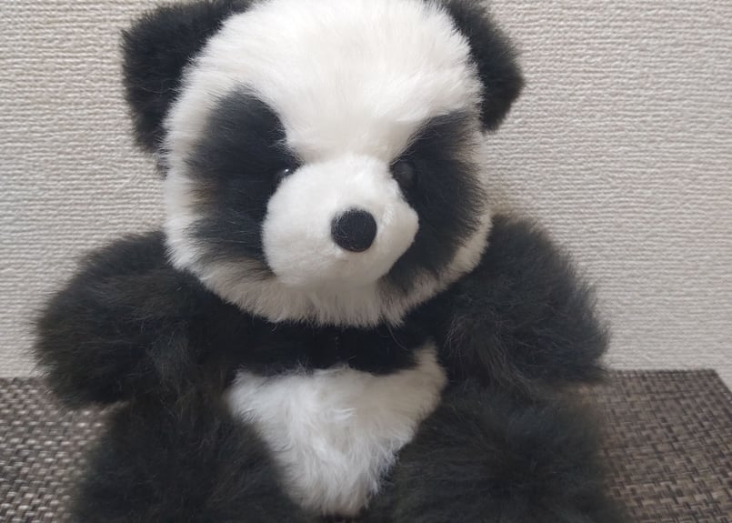 ❣️新商品❣️ベビーアルパカ 100％ パンダ ぬいぐるみ アルパカ ぱんだ ベビーアルパカ100%パンダ人形🐼 | 南米音楽ILLAY（イジャイ）official