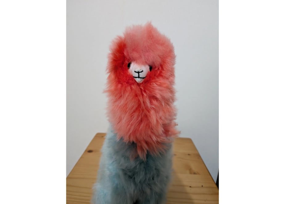 69f17ba8b71e157e4c48017f