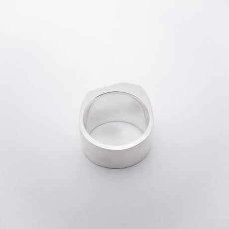 Edge Ring - r0009