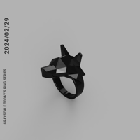 2024/2/29  [TODAY’S RING SERIES]