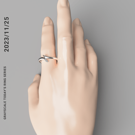 2023/11/25  [TODAY’S RING SERIES]　Revival 2025