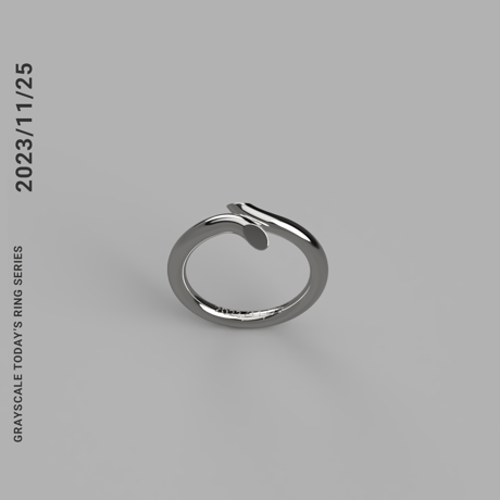 2023/11/25  [TODAY’S RING SERIES]　Revival 2025