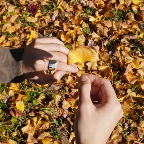 Edge Ring - r0009
