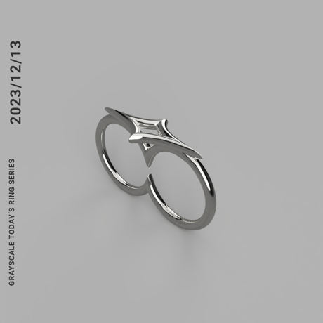 2023/12/13  [TODAY’S RING SERIES]　Revival 2025