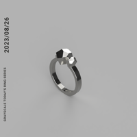 2023/8/26  [TODAY’S RING SERIES]　Revival 2026
