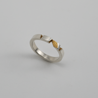 Notch Ring