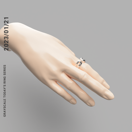 2023/1/21  [TODAY’S RING SERIES]　Revival 2026