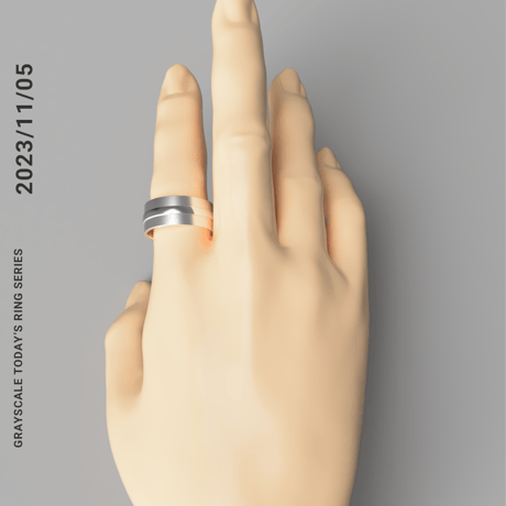 2023/11/5  [TODAY’S RING SERIES]　Revival 2025