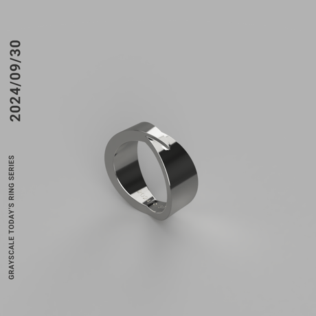 Grayscale ウルフリング 20号 Grayscale Wolf ring TODAY'S RING SERIES Grayscale ウルフリング 20号