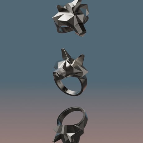 2022/5/27  [TODAY’S RING SERIES]　Revival 2026　ウルフリング　Wolf ring