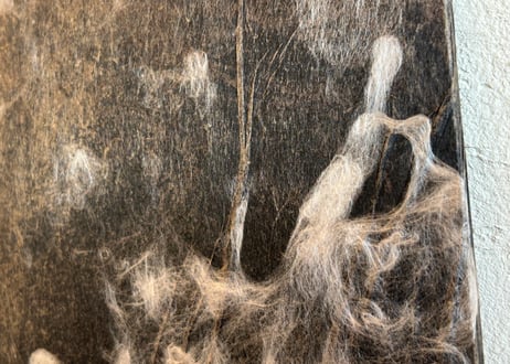 触れる絵画　魂のゆらめき1