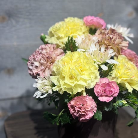 ソレイユ