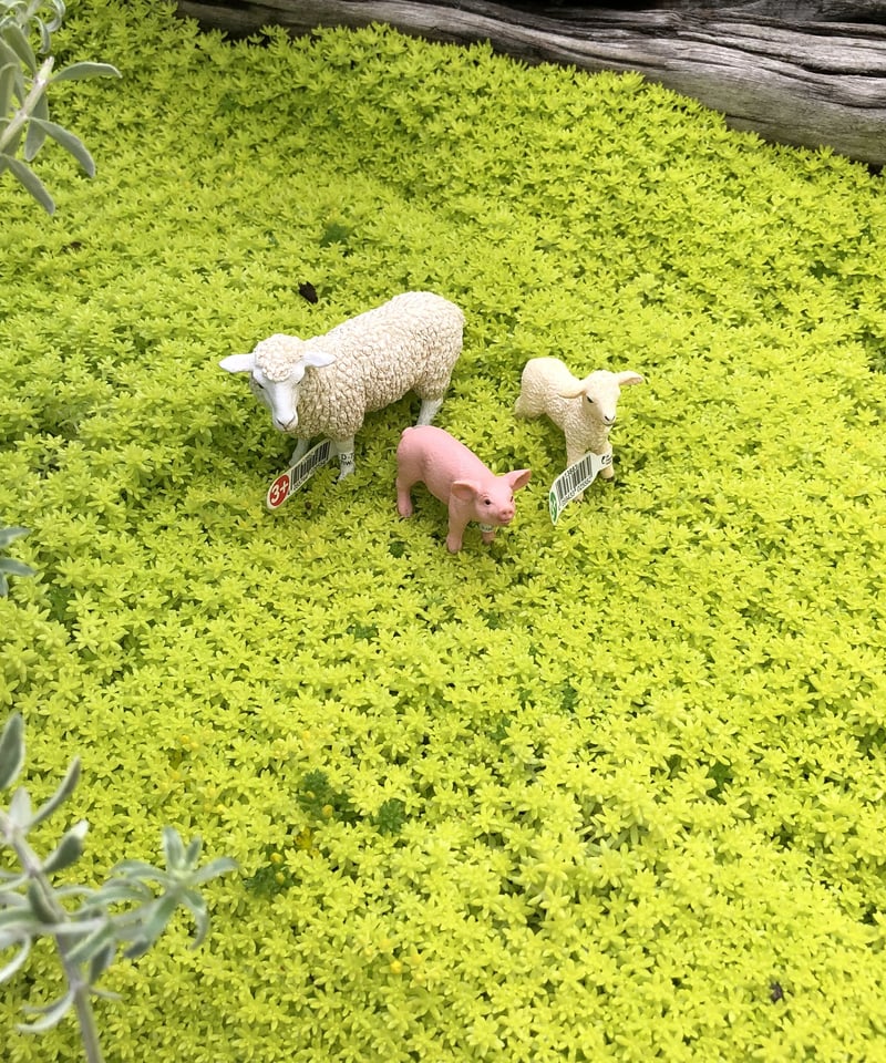 Schleich 3set ファーム1 | ¨MONKEY TREE¨ by SABOTEN